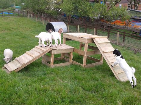 Build the fence with a few one-way access gates or <strong>ramps</strong>. . Goat ramp ideas